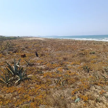 Villa Joyfull Panoramic On Private Beach